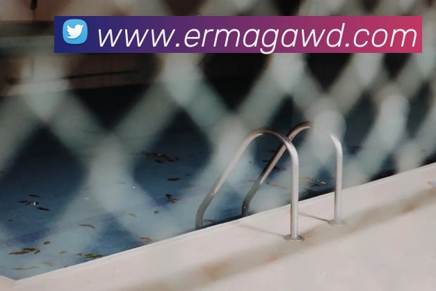 问鼎28平台生态图